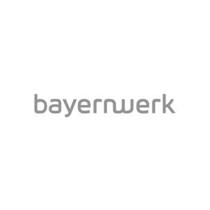 Bayernwerk Die Grübeltäter